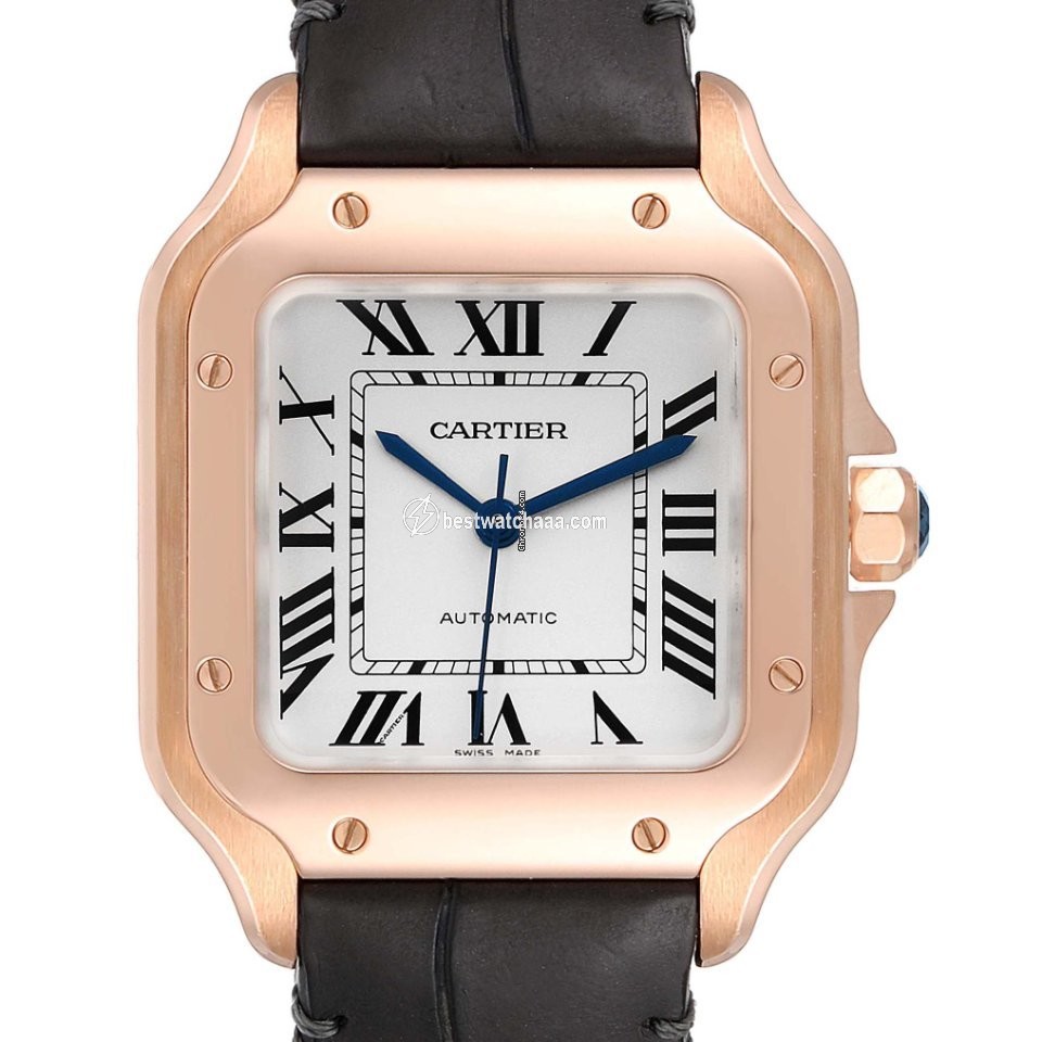 Cartier Santos Mens watch Unisex Automatic WGSA0012 - gallery