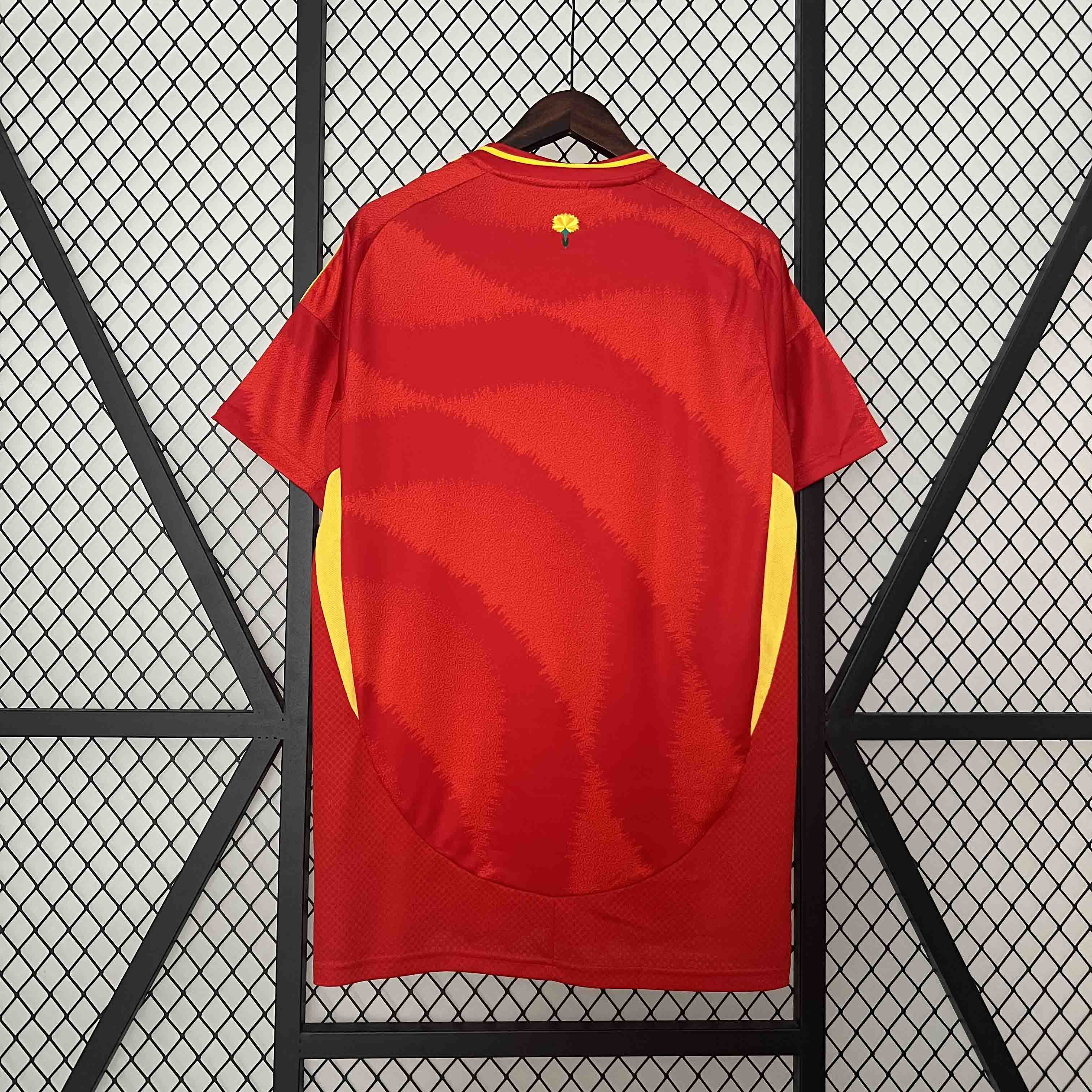 2024 Spain LAMINE YAMAL #19 Euro Cup Home Football Jersey - view 6