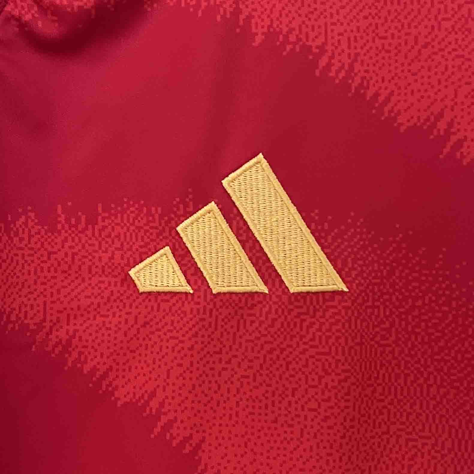 2024 Spain MORATA #7 Euro Cup Home Football Jersey - view 10
