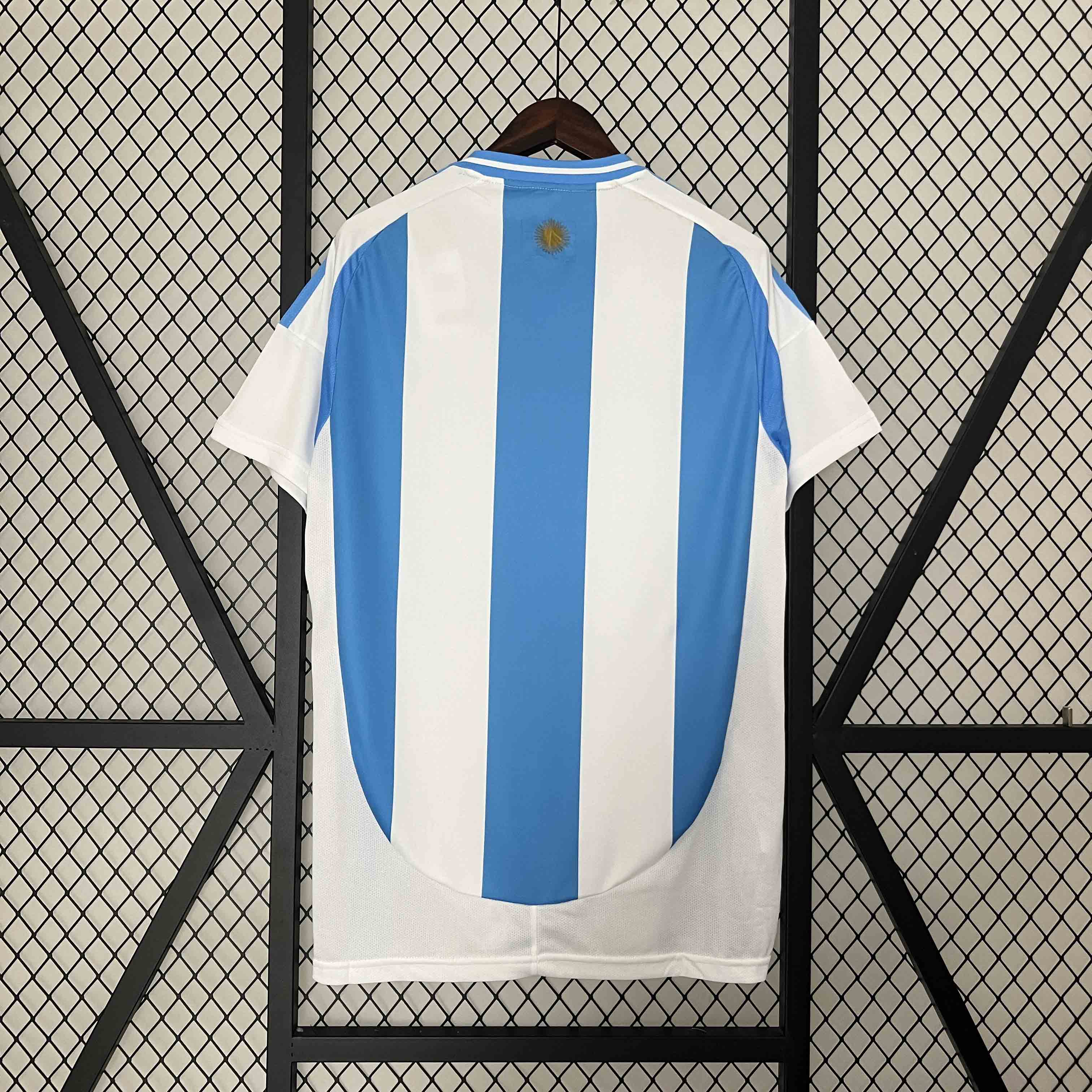 2023/24 Argentina Messi#10 Copa America Home Soccer Jersey - view 6