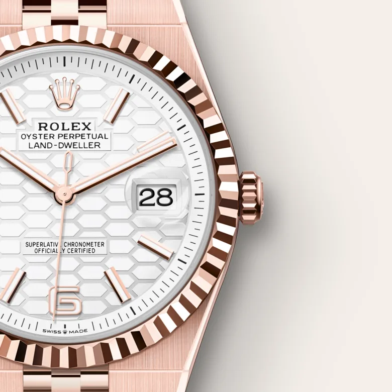 Rolex Land-Dweller 40 Intense White - gallery